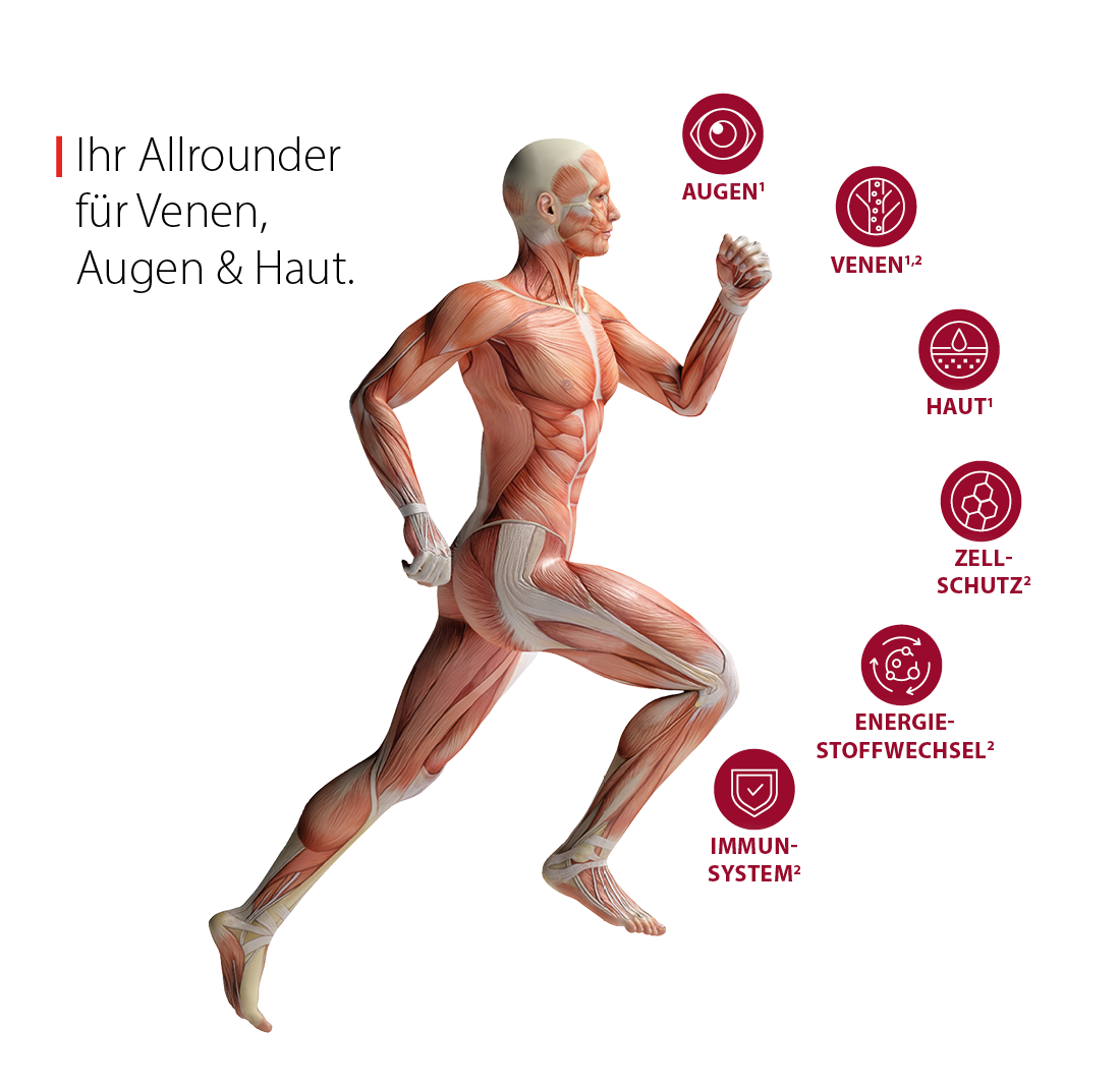Ihr Allrounder für Venen, Augen und Haut.*